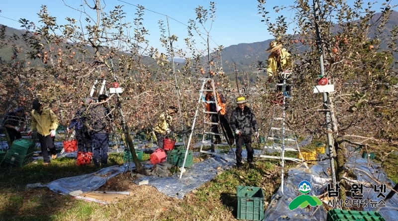 1106상수도사업소-상수도사업소 수확기 농촌 일손돕기에 구슬땀1.jpg