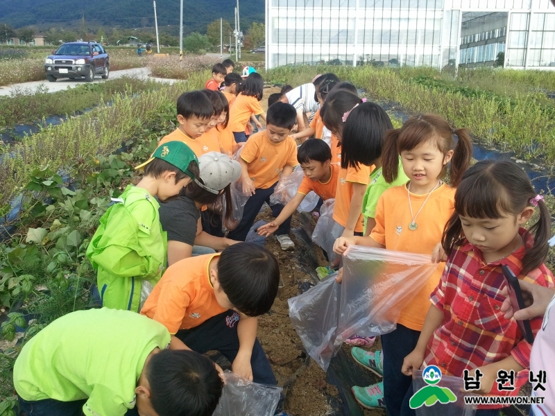 0413 원예허브과 - 허브체험관광농원 선착순 분양5.jpg