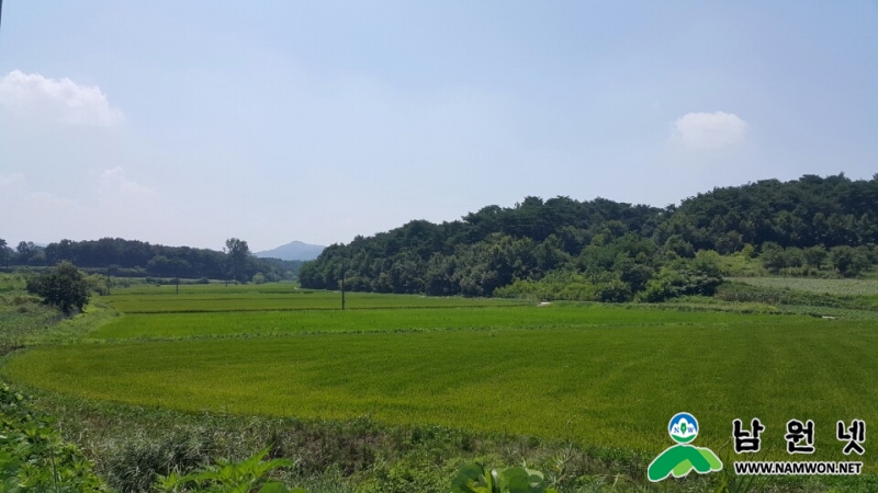 0807 도시과- 남원 일반산업단지 조성사업 순조롭게 추진(예정지)3.jpg