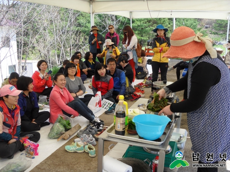 0422 축산과-유기농 곤달비 수확체험 인기 최고3.JPG