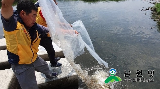 0624 축산과-어족자원 보호를 위한 요천 미꾸리 방류1.jpg