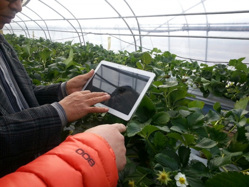 0213 현장지원과 - 궁금한 농업정보는-태블릿PC로 빠르고 알기 쉽게 제공1.jpeg