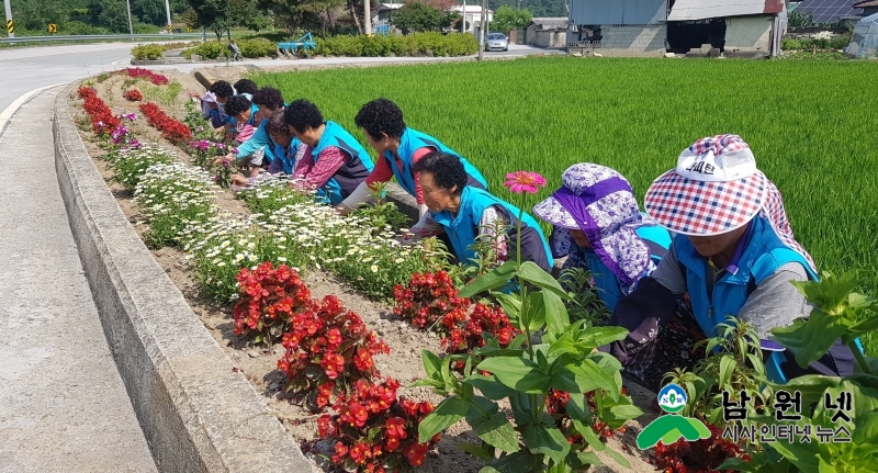 여성가족과 - 100세 시대 노인일자리로 활력 충전(꽃피는우리동네-주생반송마을).jpg