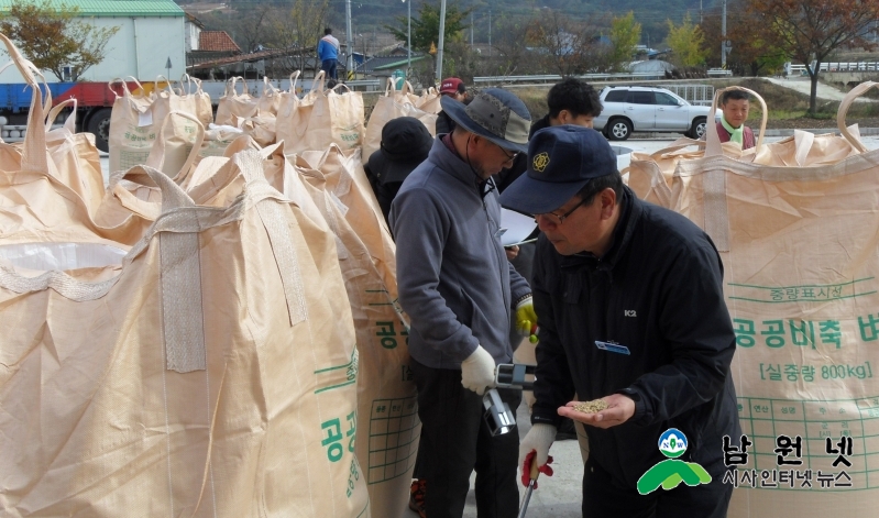 1119농정과-남원시 19년산 공공비축미곡 건조벼 매입2.JPG