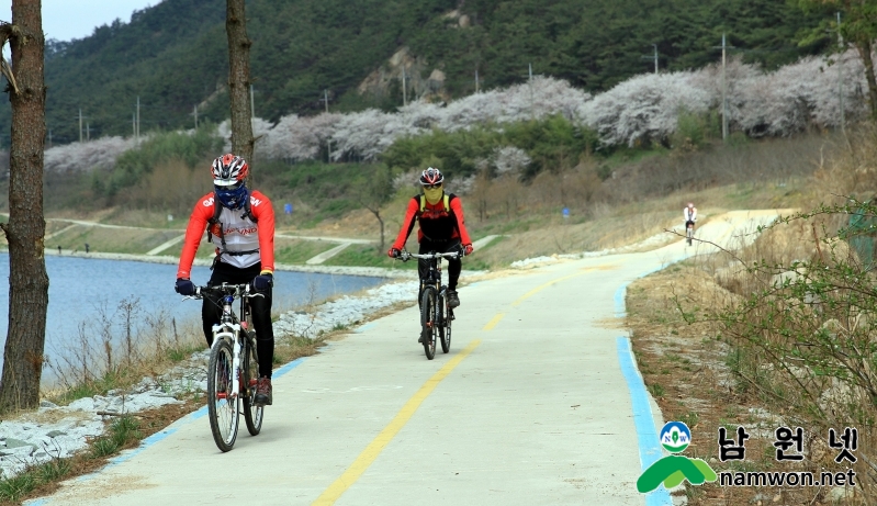 0330 산림과 환경사업소 - 탐방객 유혹하는 남원의 봄(요천100리길 자전거 라이더) (2).jpg