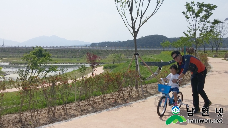 0330 산림과 환경사업소 - 탐방객 유혹하는 남원의 봄(요천생태습지공원-가족과 함께 즐거운 시간을 보내는 시민).jpg