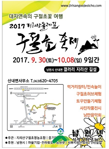 구절초.jpg