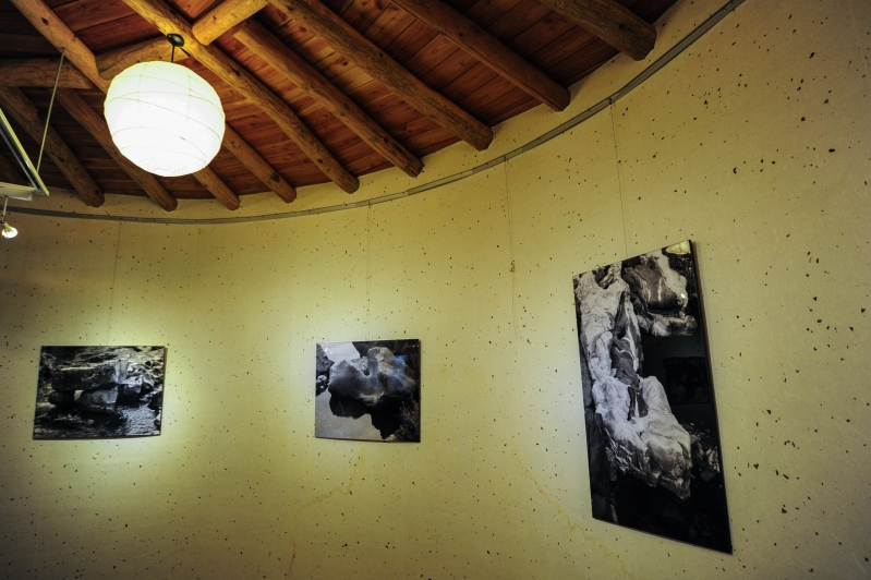 D3S_7497_1.jpg