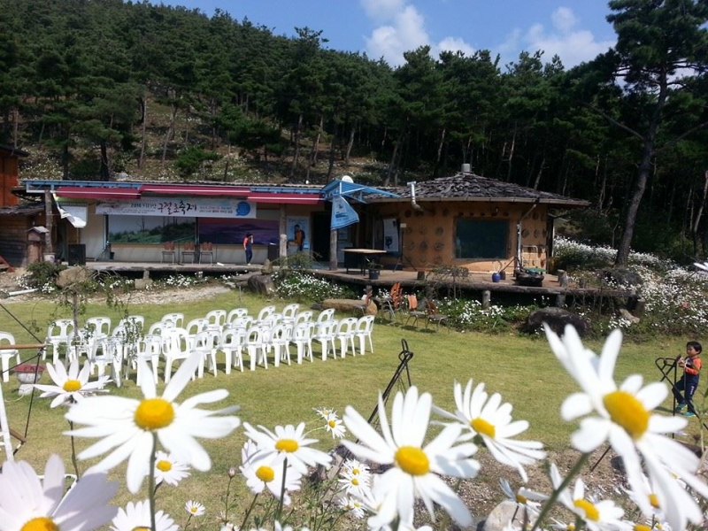 2014구절초축제.jpg