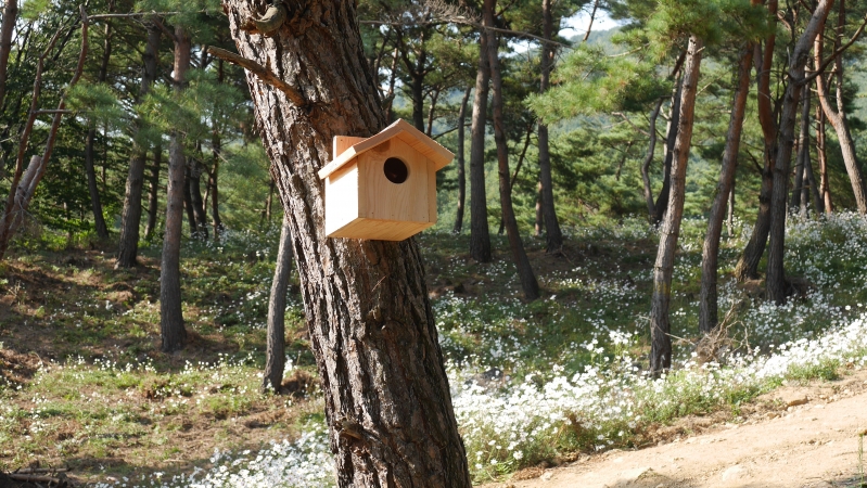 P1050173.JPG