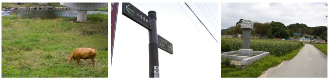 지리산둘레길.jpg
