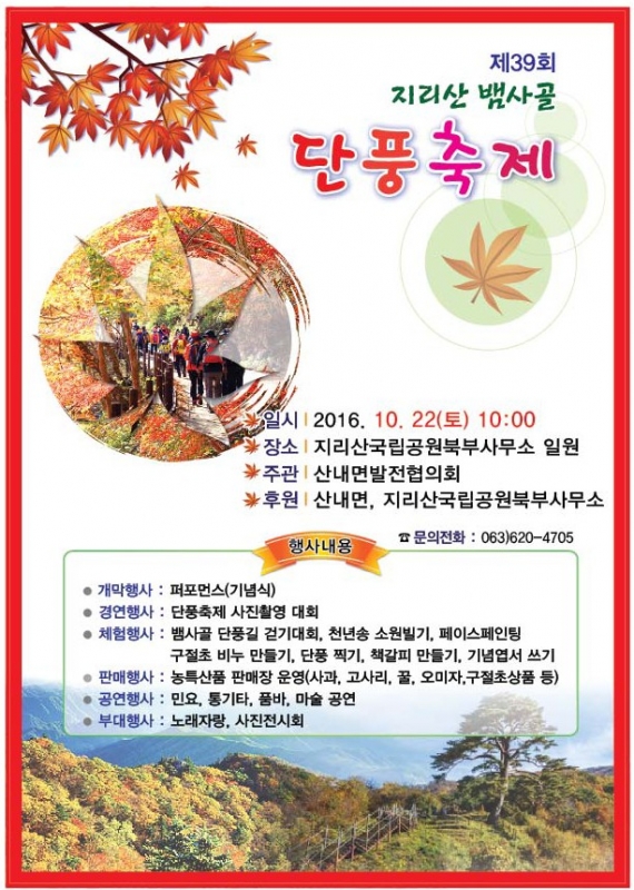 단풍.jpg