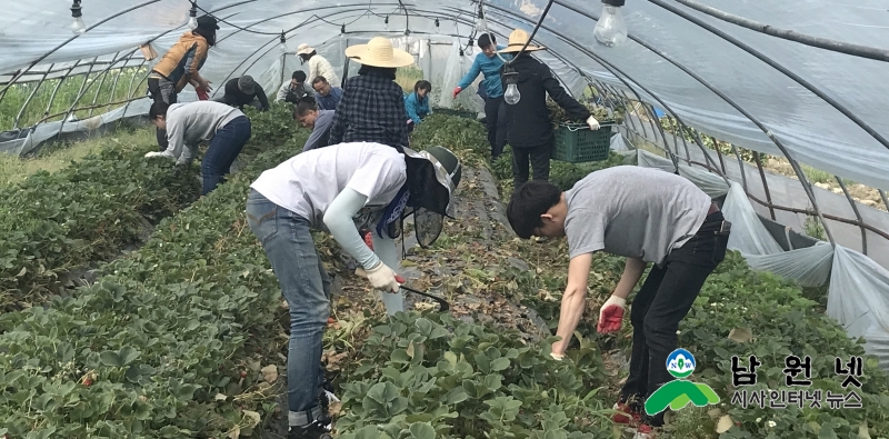 0511교육체육과- 왕정동 농촌일손돕기 실시2.jpg