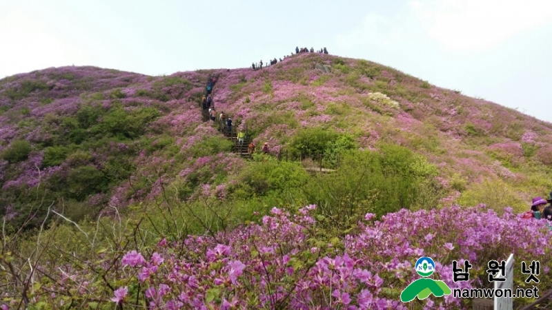 0428%20-%20제22회%20지리산%20바래봉%20철쭉제%20기념행사1.jpg