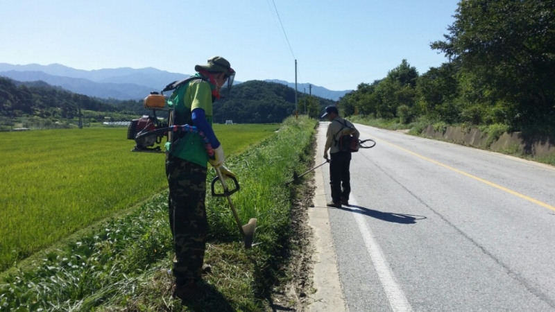 0921 도통동 - 도통동 주요도로변 제초작업 및 등산로 정비 실시(도로변 제초).jpeg