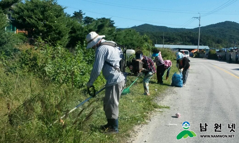 0908 노암동 - 추석맞이 도로변 풀베기 구슬땀3.jpg