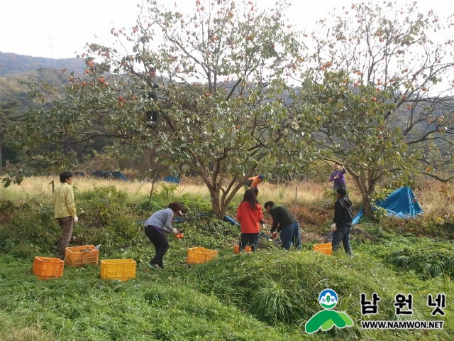 1030 보절면 감사실 직원과 함께 일손돕기9.jpg