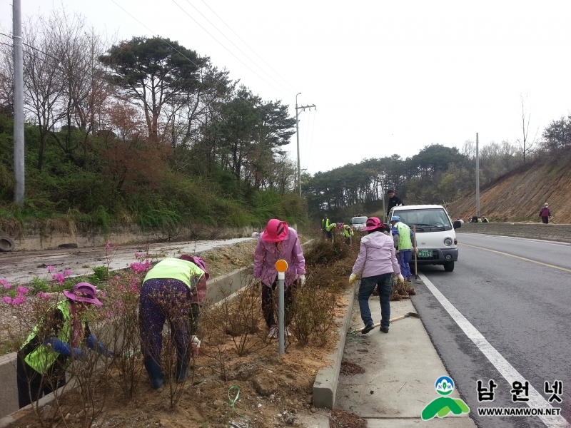 0428 보절면 - 유휴지를 활용 철쭉 식재 아름다운 꽃길 조성한다1.jpg