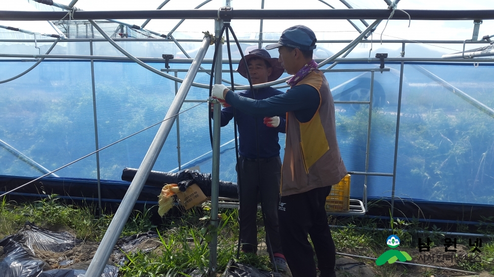 0611 농촌진흥과-산동면 여름철 장마기 작물 재해 대비 철저히 (2).jpg