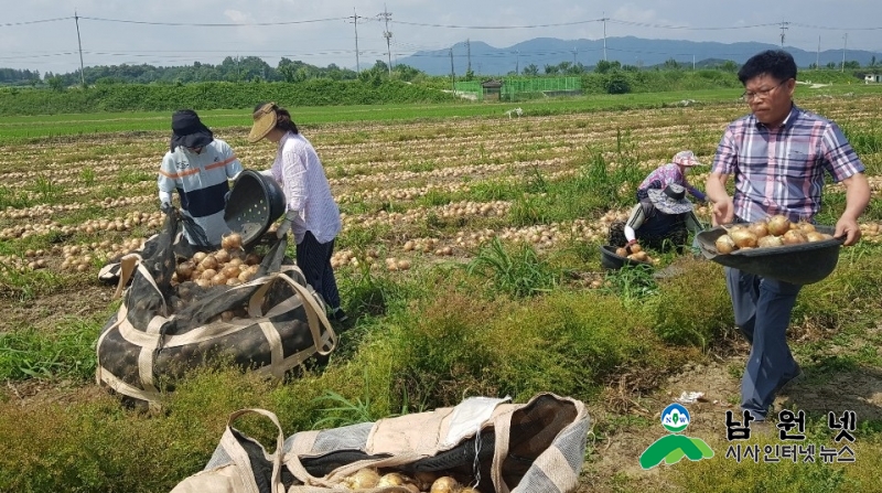 0618덕과면-덕과면 농촌일손돕기 구슬땀 흘려1.jpg