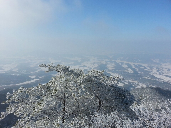 보절면.jpg