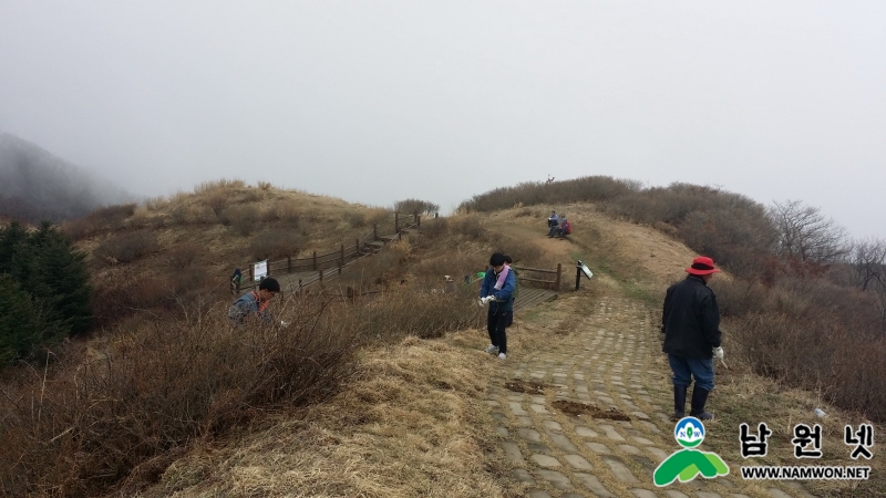 0402 운봉읍 - 바래봉 철쭉군락지 잡목제거에 땀방울3_크기변경.jpg