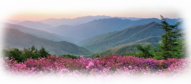 지리산배경.jpg